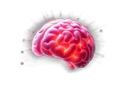 BrainArk